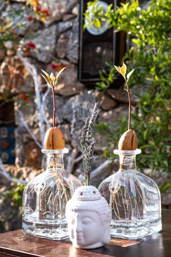 Casa Di Pietra Hotel Fethiye Turkey